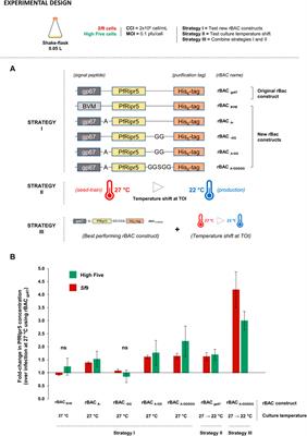 Asexual Blood-Stage Malaria Vaccine Candidate PfRipr5: Enhanced Production in Insect Cells